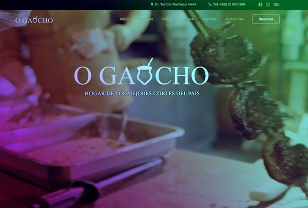 ogaucho